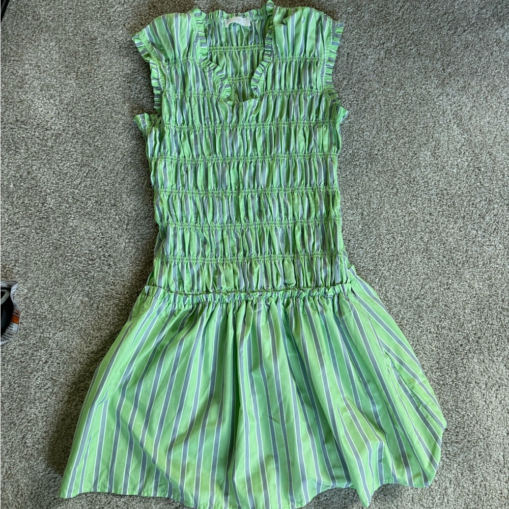 Isola/steele fraya ruched green Striped  Dress